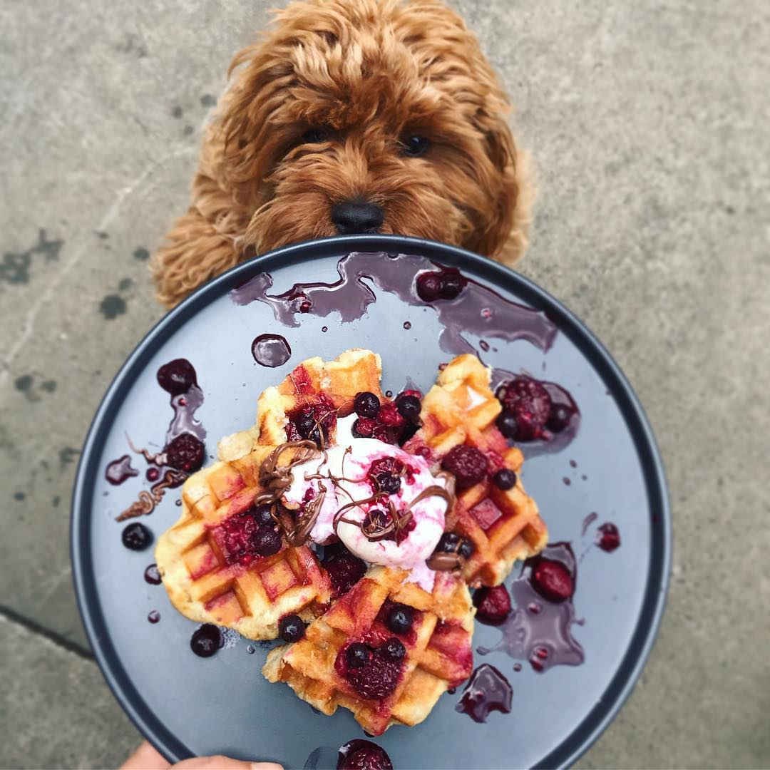 A post from the Grounded Grocer & Cafe Instagram